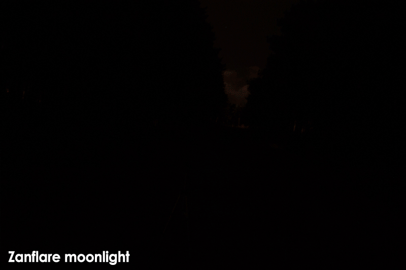 lesff045.gif