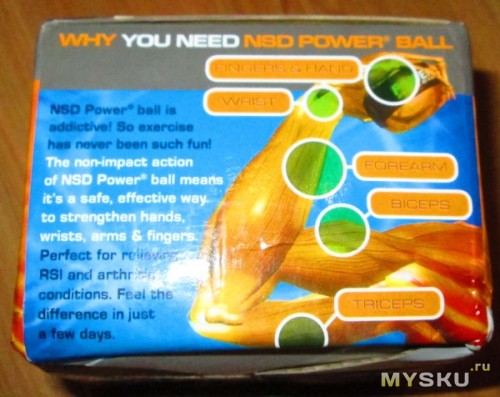 Powerball 250Hz - упаковка - мышцы тренируемые с помощью Powerball Powerball 250Hz - упаковка - мышцы тренируемые с помощью Powerball